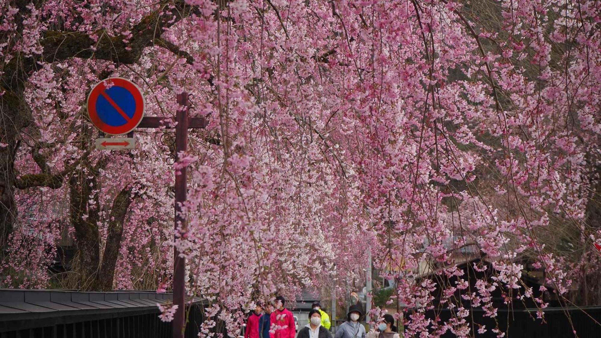 Hotel Kashintei Shirahama Semboku Zewnętrze zdjęcie
