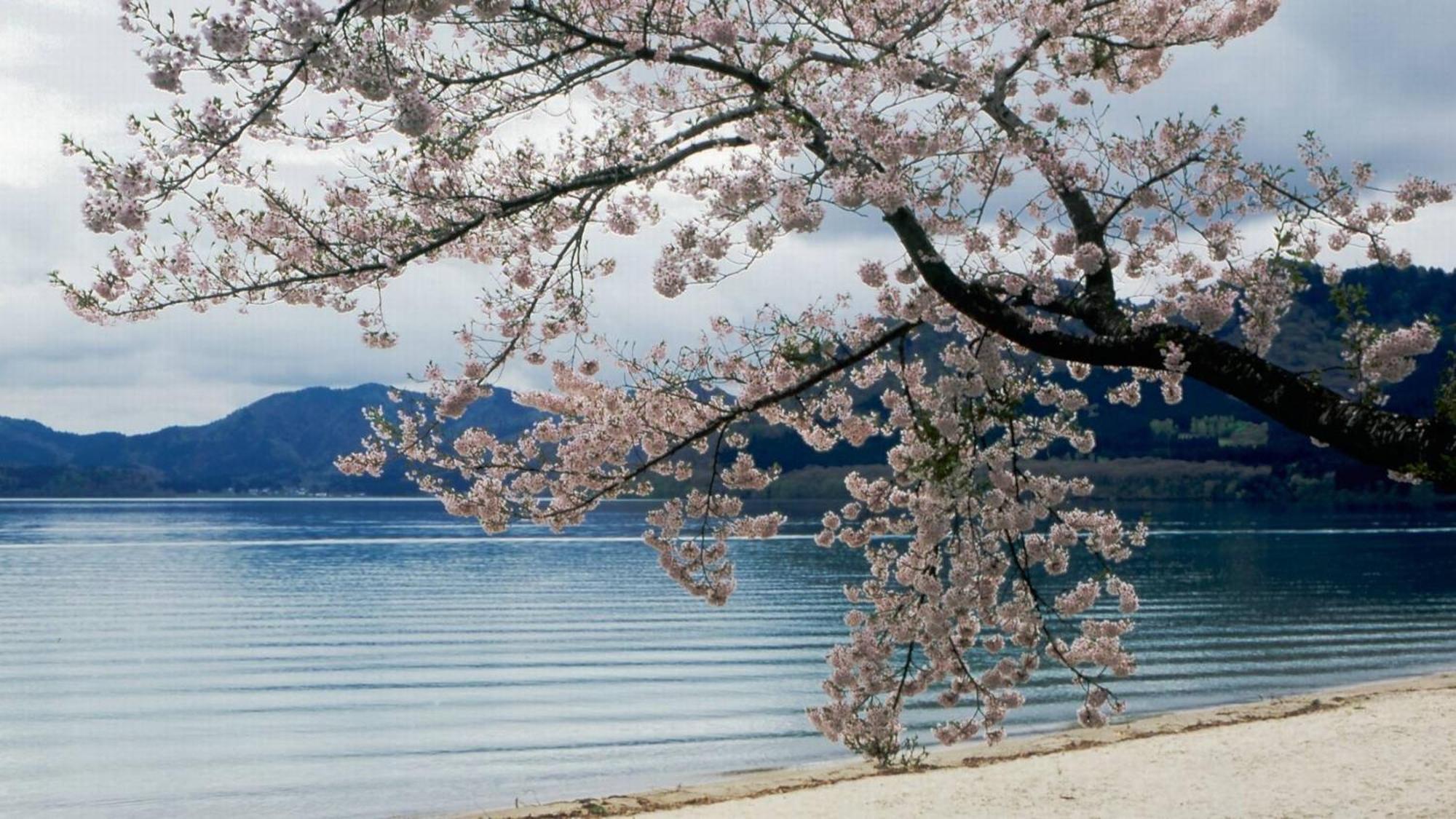 Hotel Kashintei Shirahama Semboku Zewnętrze zdjęcie